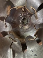 IMG_2042.jpeg