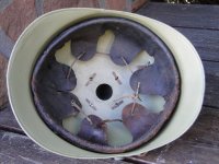 DSC07735.JPG