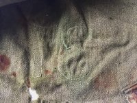 IMG_9815.jpeg