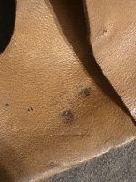 IMG_2329.jpeg