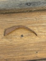 IMG_2313.jpeg