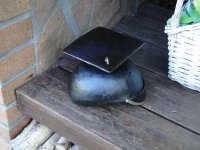 DSC07765.JPG