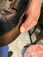 IMG_2240.jpeg
