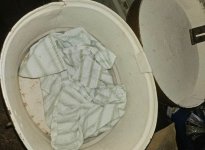 IMG_7340.jpeg