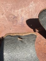 IMG_0635.jpeg