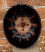 IMG_5201.jpeg