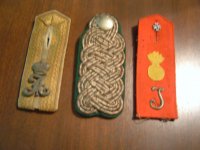 3 New straps Sept 8.JPG
