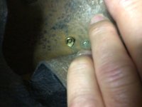IMG_0168.jpeg