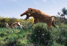 archaeotherium-mortoni-mammal-julius-t-csotonyiscience-photo-library.jpg