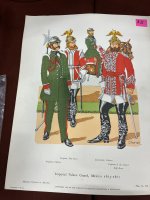 IMG_0537.jpeg