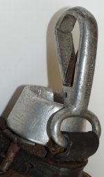 DSC02009_Cropped.jpg