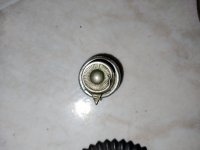 IMG_20211018_062033.jpg