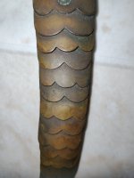 IMG_20211019_164410.jpg