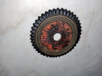 IMG_20211019_165422.jpg