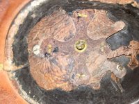 IMG_2359.jpeg
