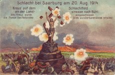 s20.jpg