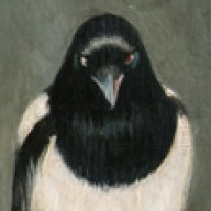 Magpie