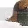 Stahlhelm