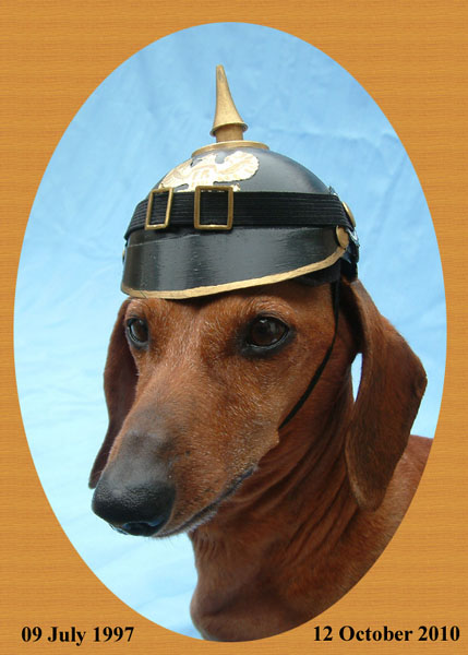 Goodbye_my_Kaiser.jpg