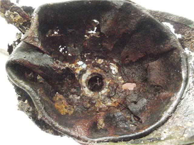 709adfc8accb.jpg
