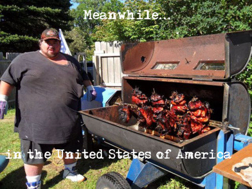 tumblr_lkeztifeMa1qg5teio1_500.png