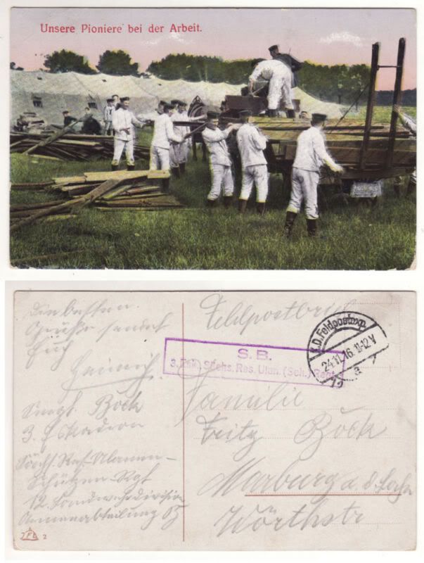 Field-1916-4.jpg