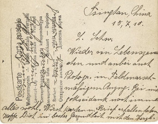 troppenhelm_back_1.jpg