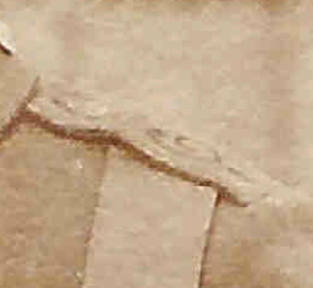 5696808481_3aff54f43d_z.jpg