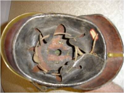 Picture7.jpg