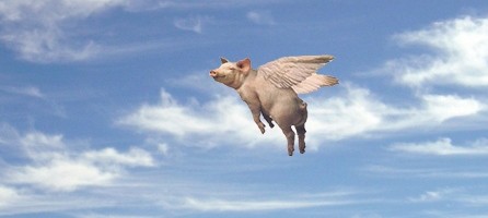 Flying_Pig.jpg