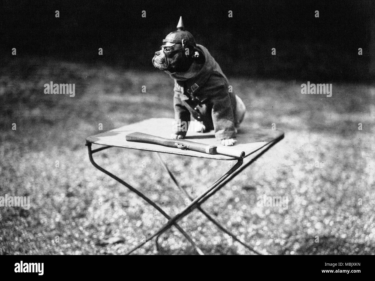 www.alamy.de