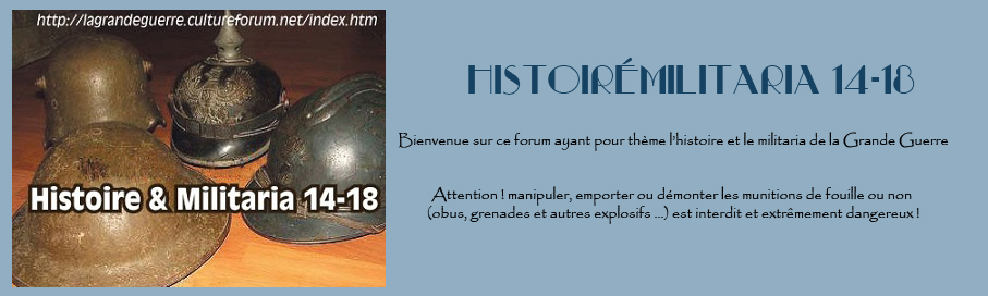 lagrandeguerre.1fr1.net