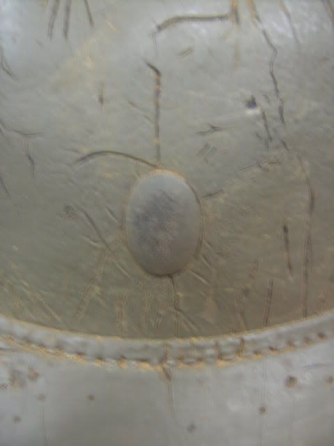 BILD1652.jpg