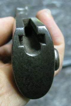 Quillback-2.jpg