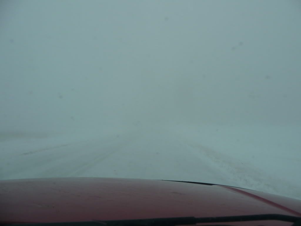 sos2012007.jpg