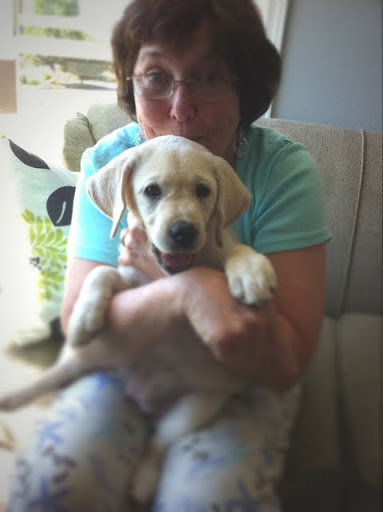 granddog.JPG