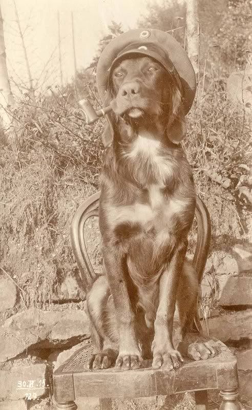 braque.jpg