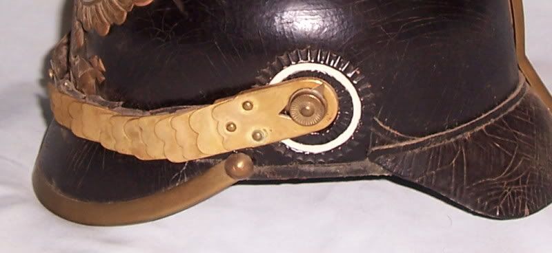 Chinscales.jpg