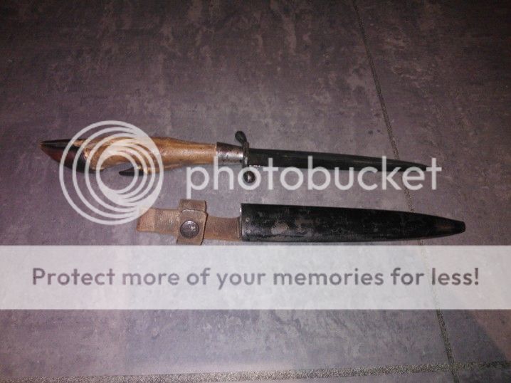 WP_000370.jpg